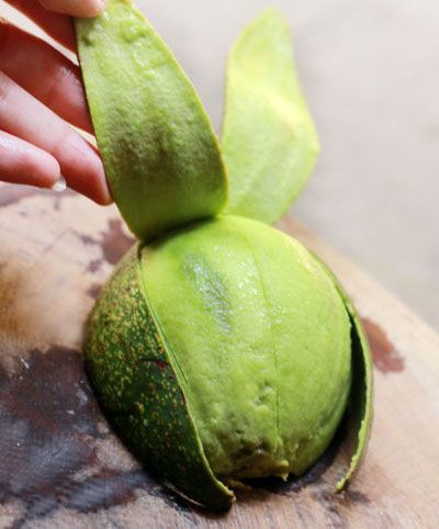 Sinh-to-bo-Recipe-Vietnamese-avocado-smoothie 3